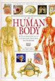 The Human Body
