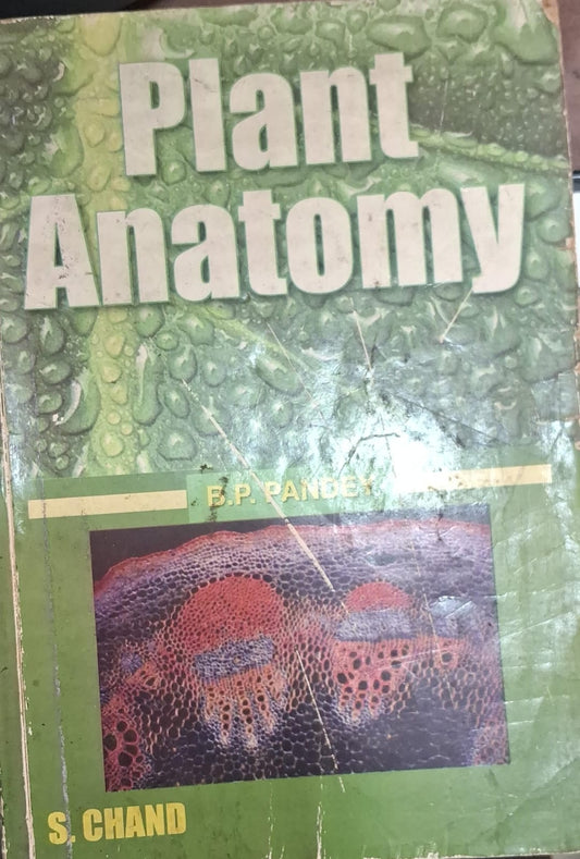 Plant Anatomy: For Degree, Honours and Post Graduates