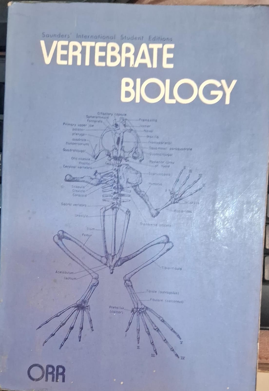 Vertebrate Biology