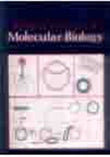 Essentials of Molecular Biology