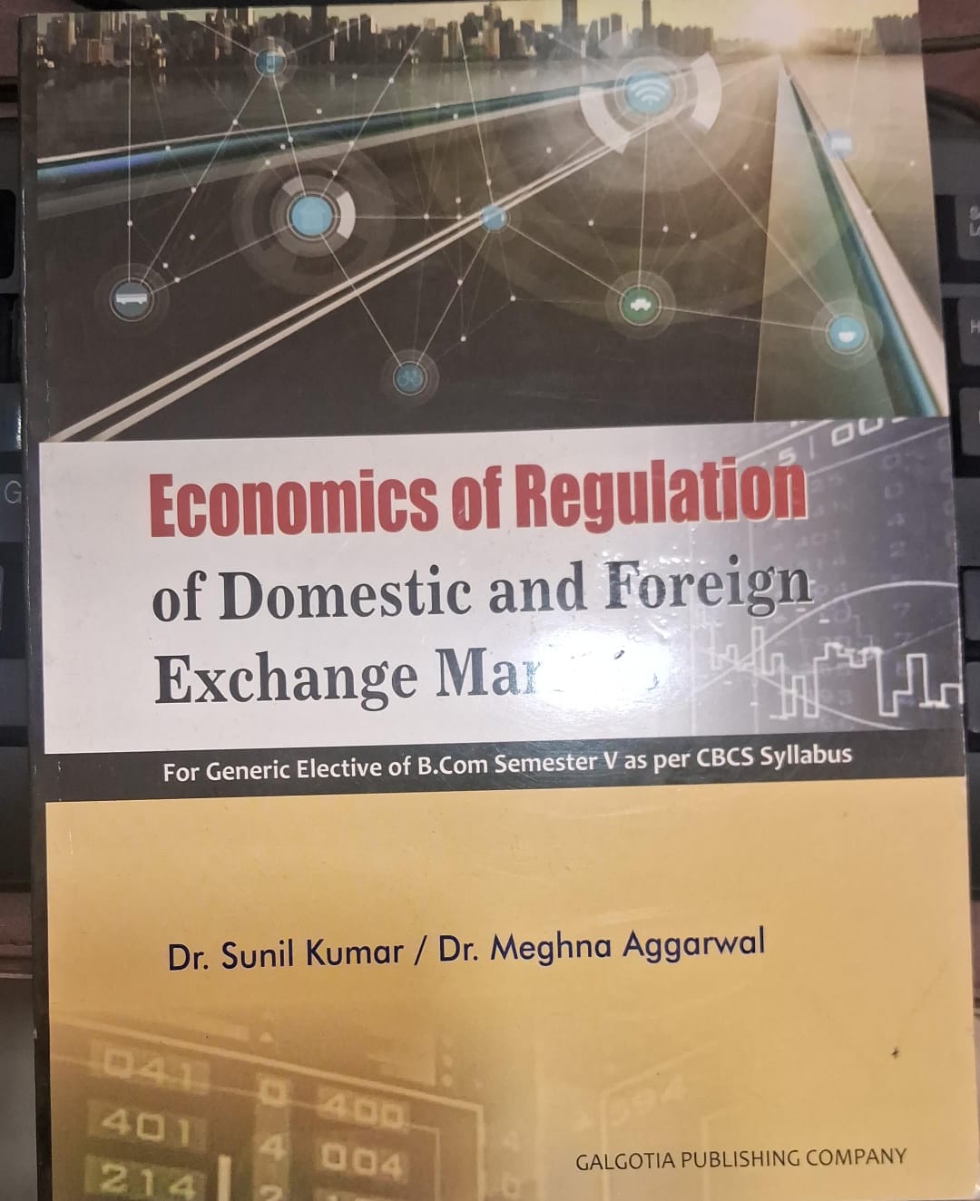 Economics of Regulation of Domestic and Foreign Exchange Markets