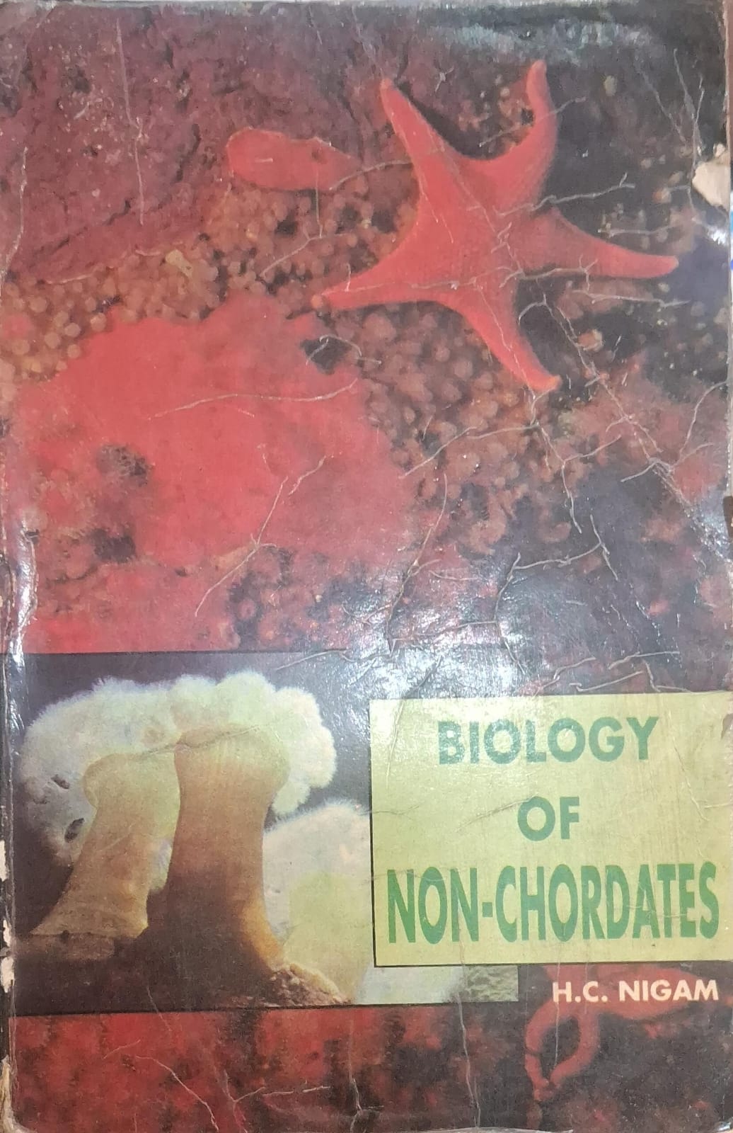 Biology of Non-Chordates