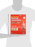 HUMAN ANATOMY 6E, VOL. 2- LOWER LIMB, ABDOMEN AND PELVIS (PB-2015) (BD Chaurasia's Human Anatomy Regional and Applied Dissection and Clinical: Lower Limb Abdomen and Pelvis) CHAURASIA B. D