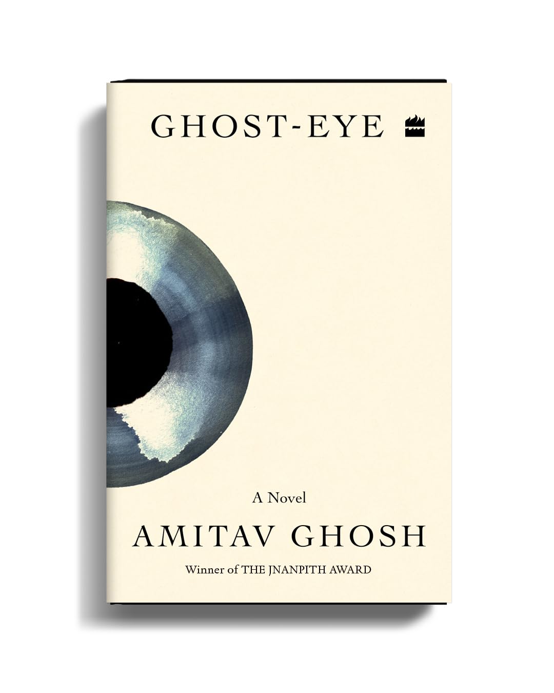 Ghost-eye: A Novel