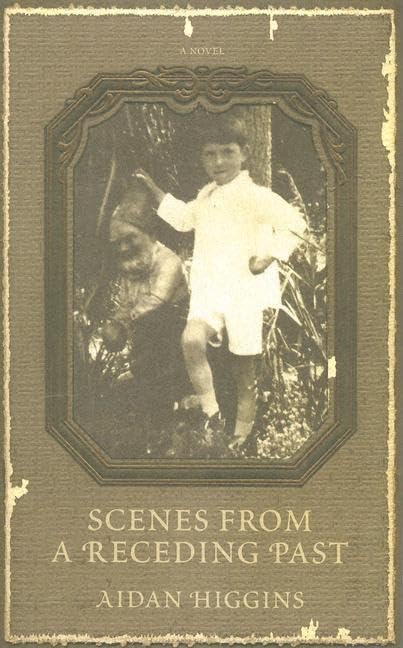 Scenes from a Receding Past (Irish Literature Series)