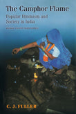 The Camphor Flame: Popular Hinduism And Society In India