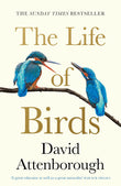 The Life Of Birds