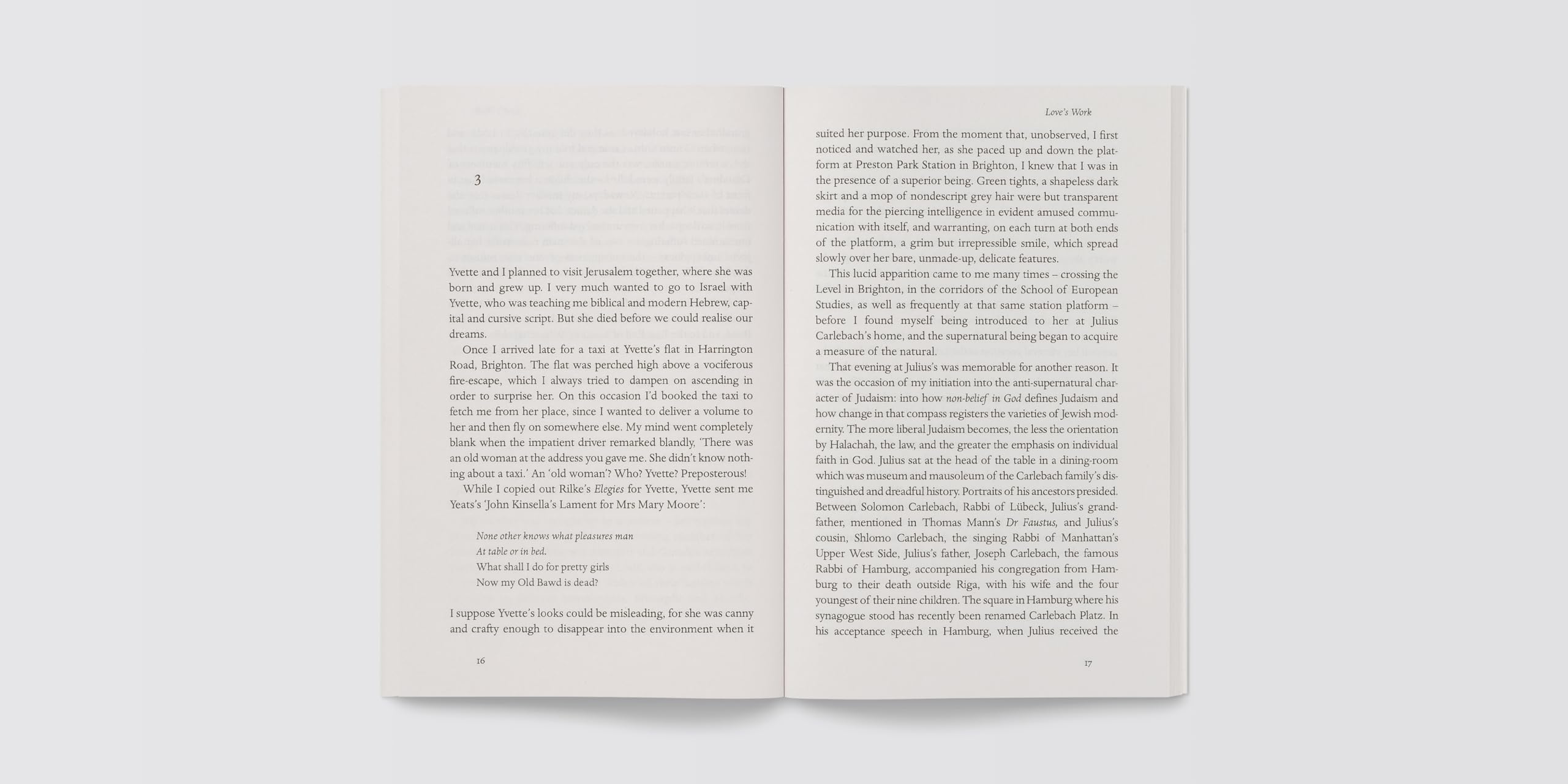 Love's Work (Penguin Modern Classics)