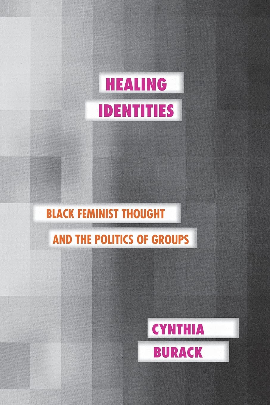 Healing Identities: Black Feminist Thought and the Politics of Groups (Psychoanalysis and Social Theory)