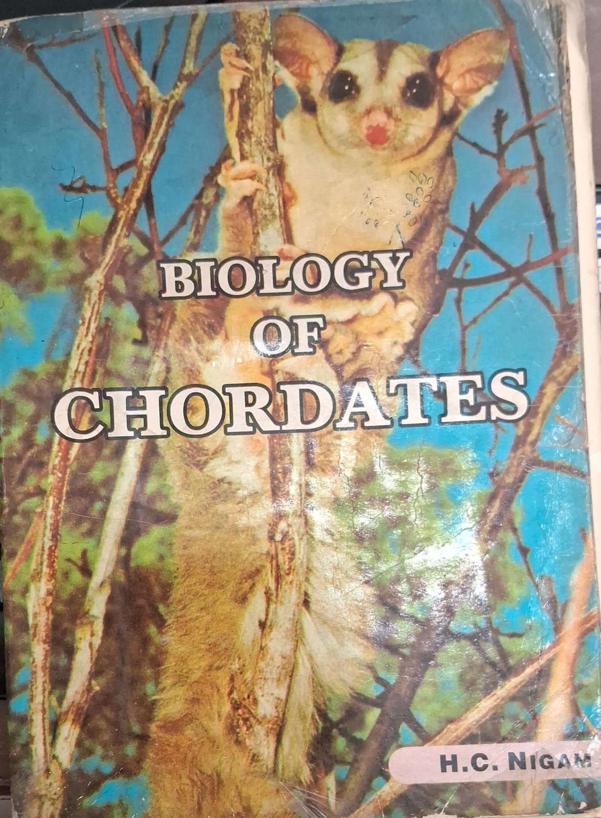 biology of chordates comp