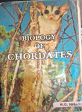 biology of chordates comp