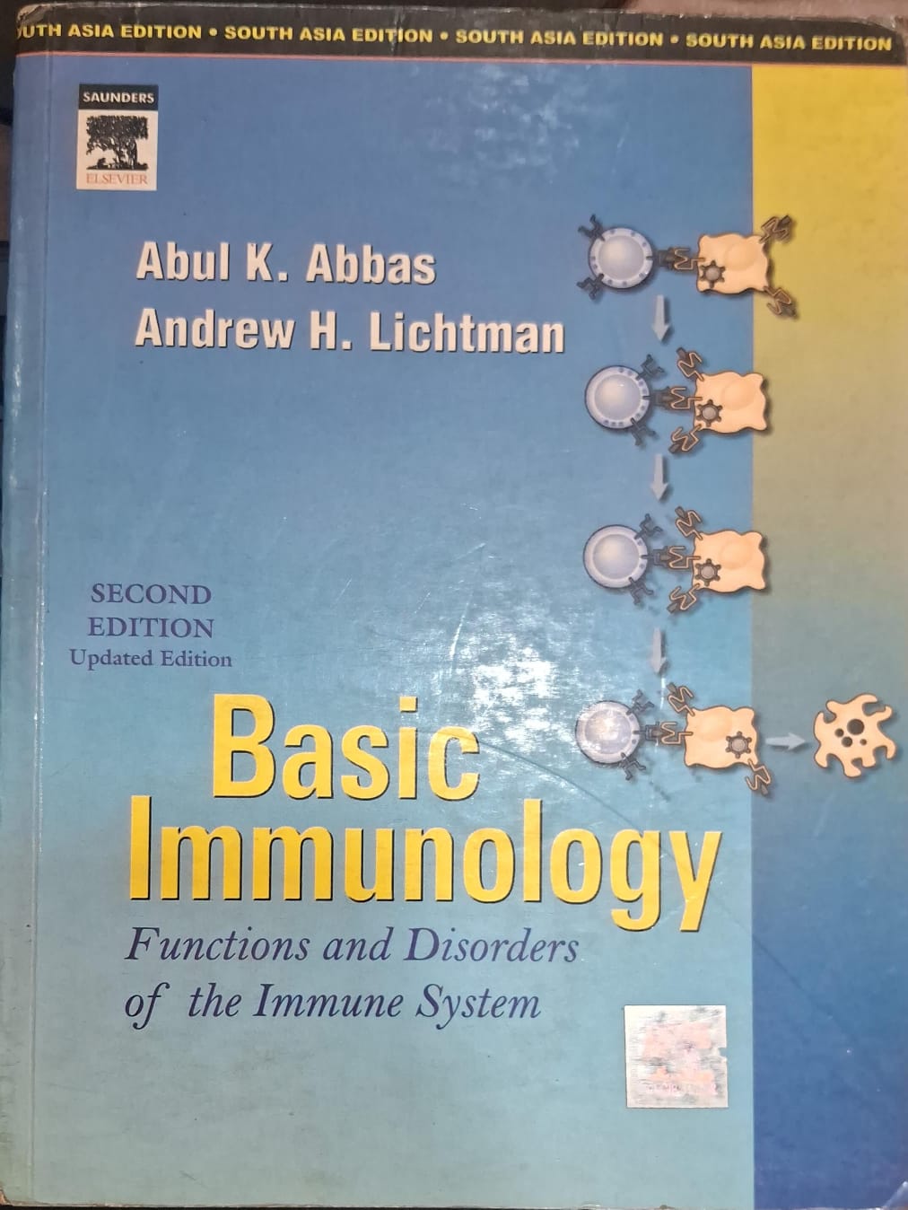 Basic Immunology