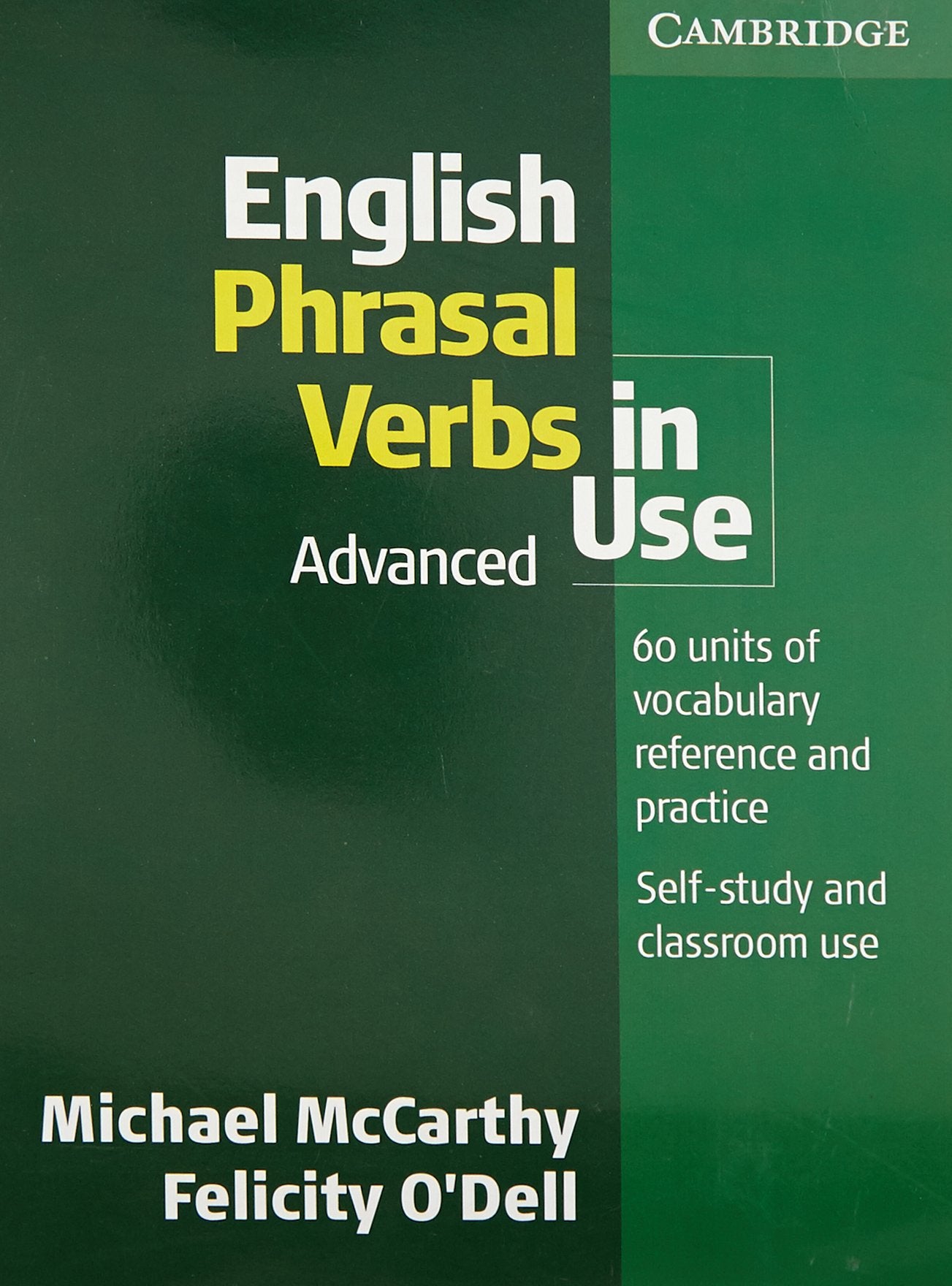 English Phrasal Verbs in Use Advanced