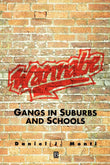 Wannabe: Gangs in Suburbs and Schools (Making Contemporary Britain)