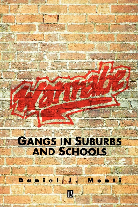 Wannabe: Gangs in Suburbs and Schools (Making Contemporary Britain)