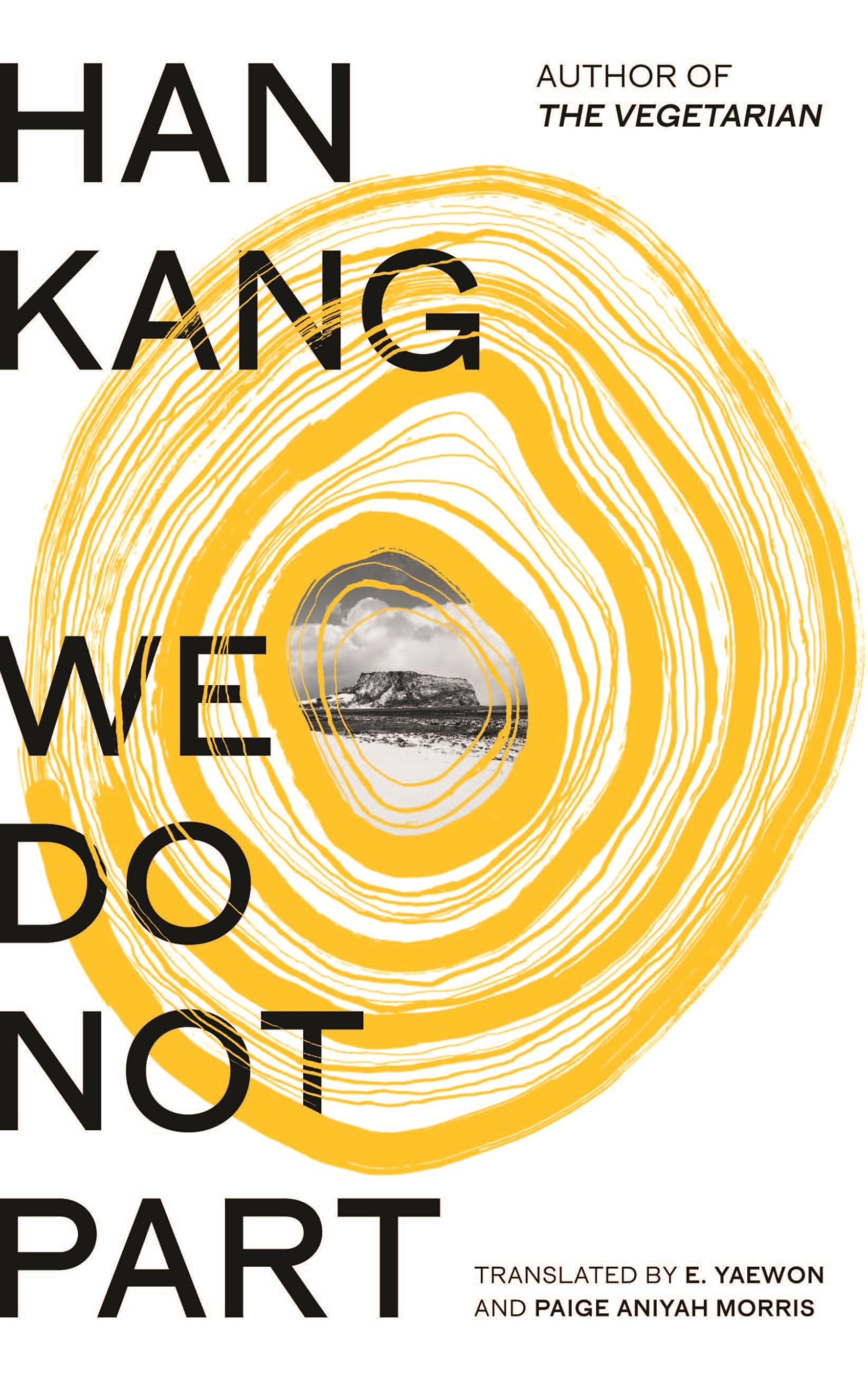 We Do Not Part From Nobel Prize Winner Han Kang, Author of The Vegetarian | A Tale of Love, Loss & Korean History | Contemporary Literary Fiction: The ... winner of the 2024 Nobel Prize in Literature
