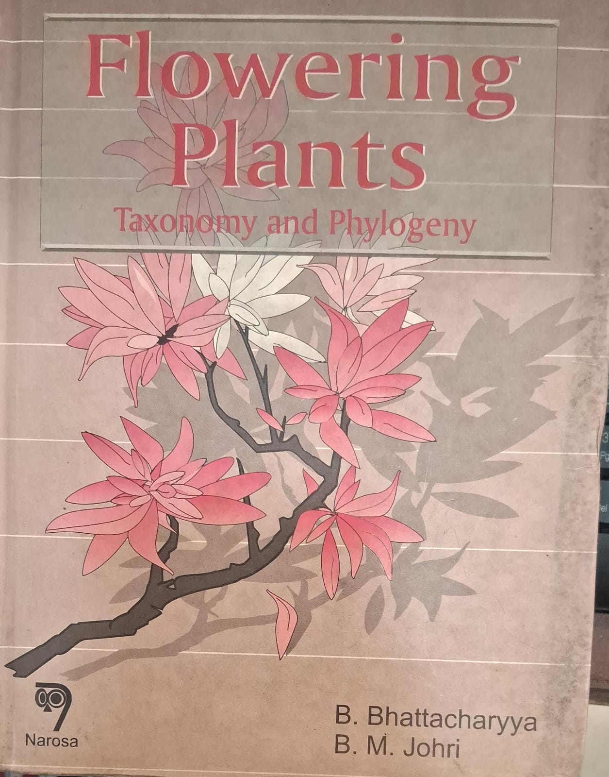 Flowering Plants Taxonomy and Phylogeny