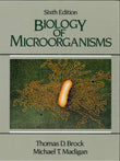 Biology of Microorganisms