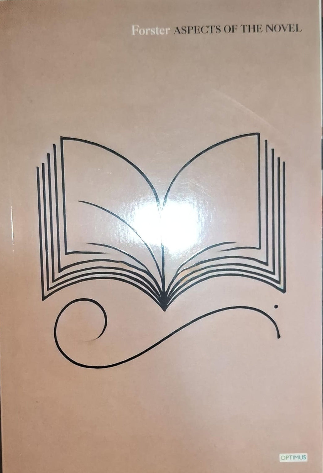 Aspects of the Novel