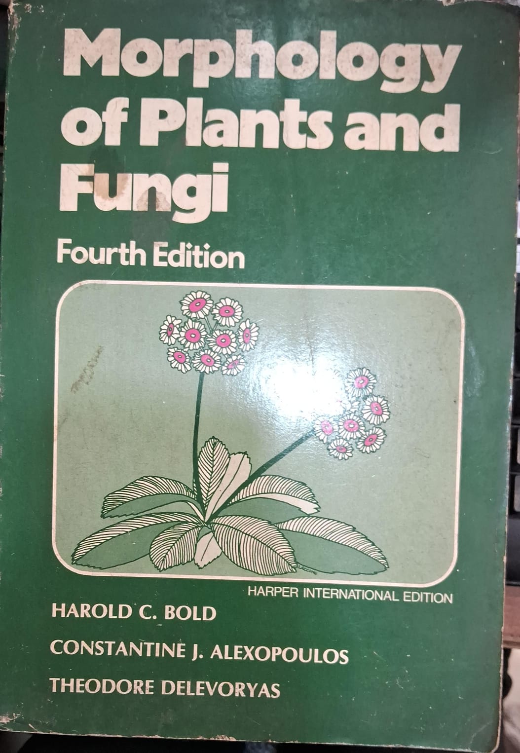 Morphology of Plants and Fungi