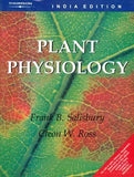 Plant Physiology
